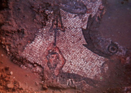 mosaici della villa romana del Rondon, Monfalcone