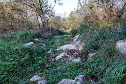 Tratto della strada nei pressi di Duino con i solchi nella pietra che testimoniano il transito di carri